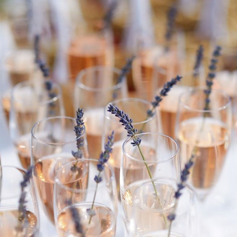 Best Foodie experiences in Champagne
